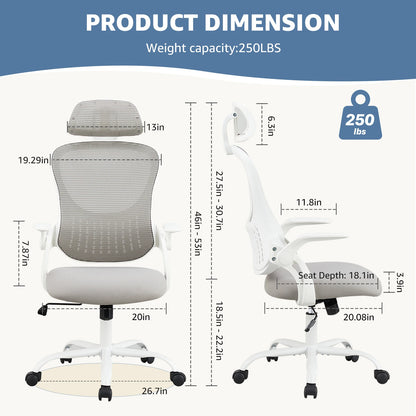 Ergonomic Office Chair with Lumbar Support