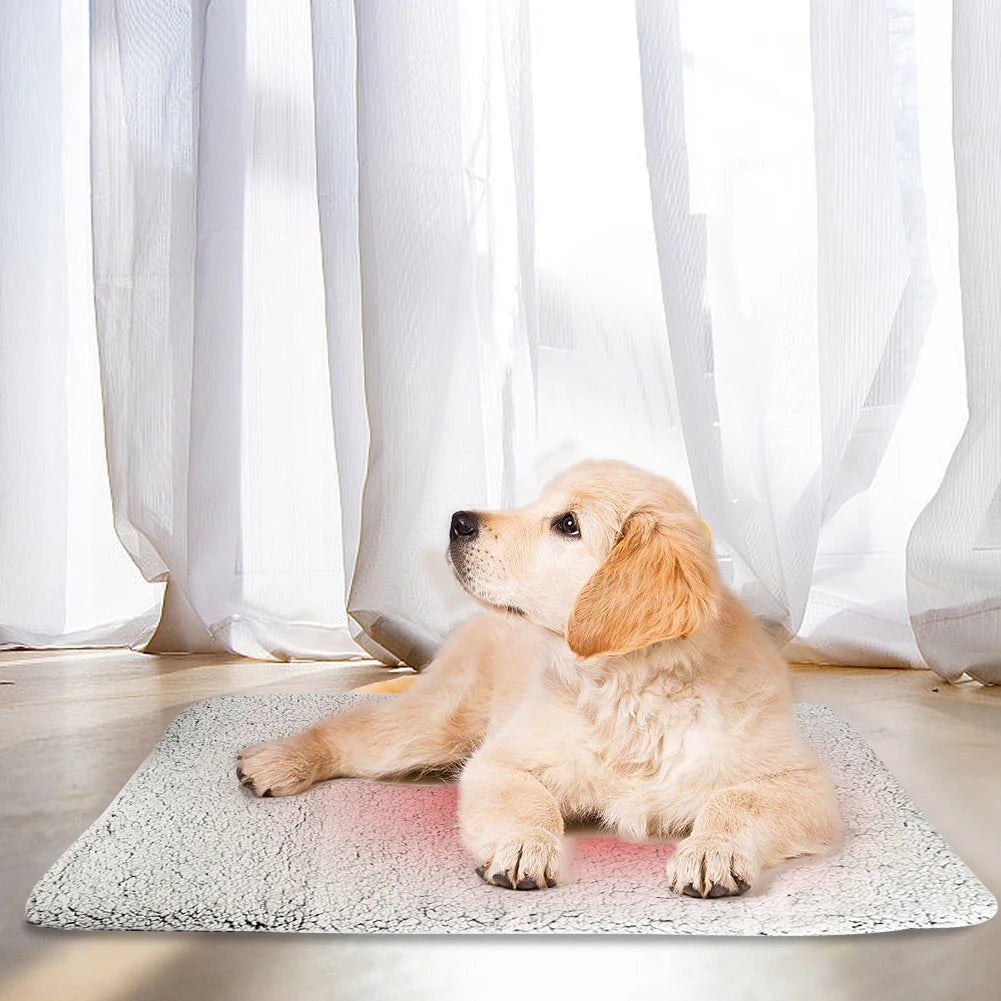 Self-Heating Thermal Pet Pad