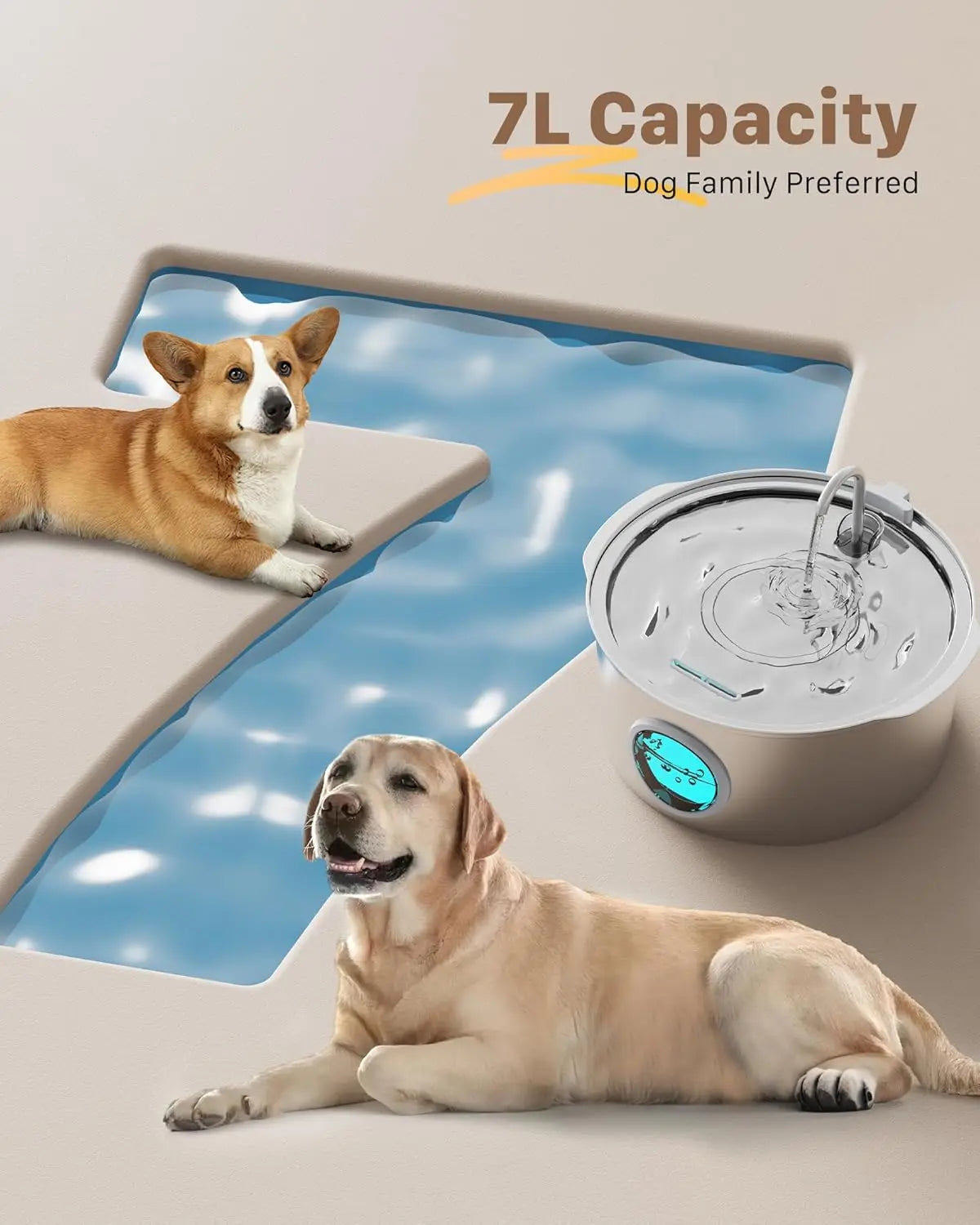 7L Water Fountain for Large Dogs