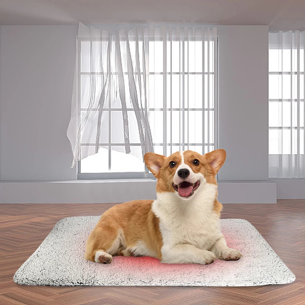 Self-Heating Thermal Pet Pad