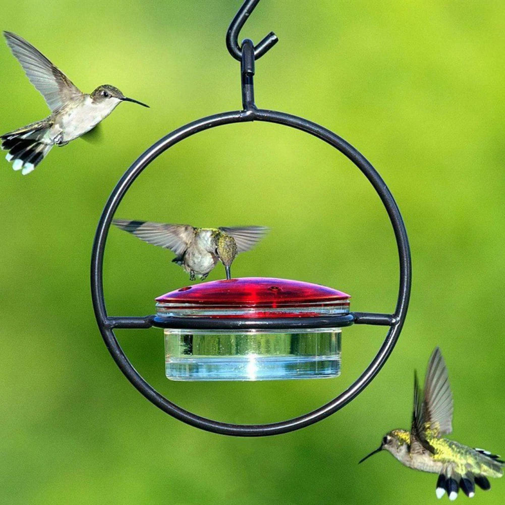 Hanging Bird Feeder with Red Bowl