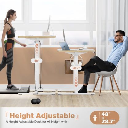 Adjustable Height Electric Standing Desk